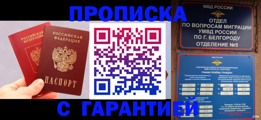 прописка 2025 в Снежногорске